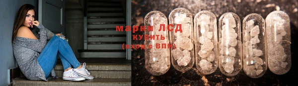 альфа пвп Бородино