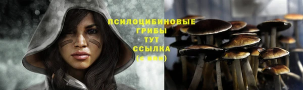 альфа пвп Бородино
