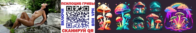 Галлюциногенные грибы Psilocybe  цены   Кирс 